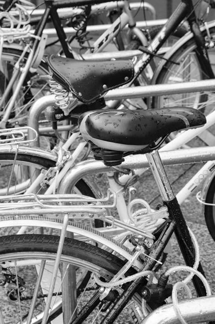 CCC-Members-2012-On your bike