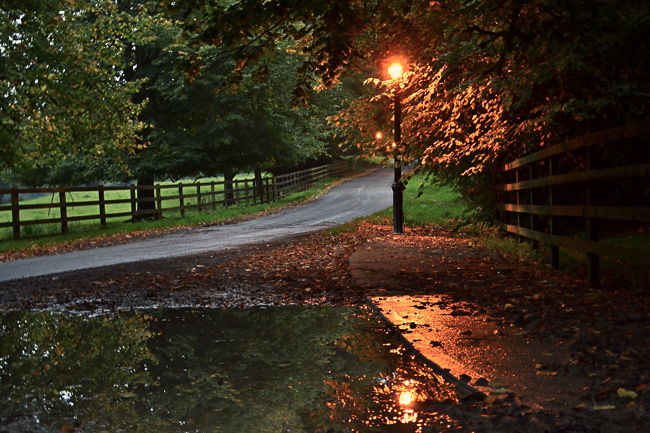 Autumn Light