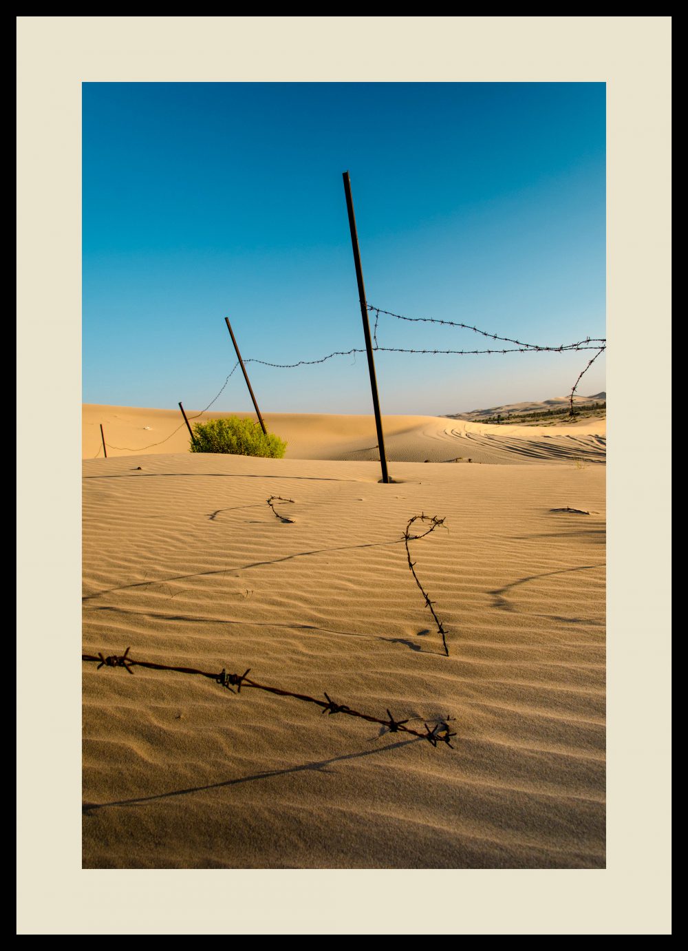 ALL FENCED IN