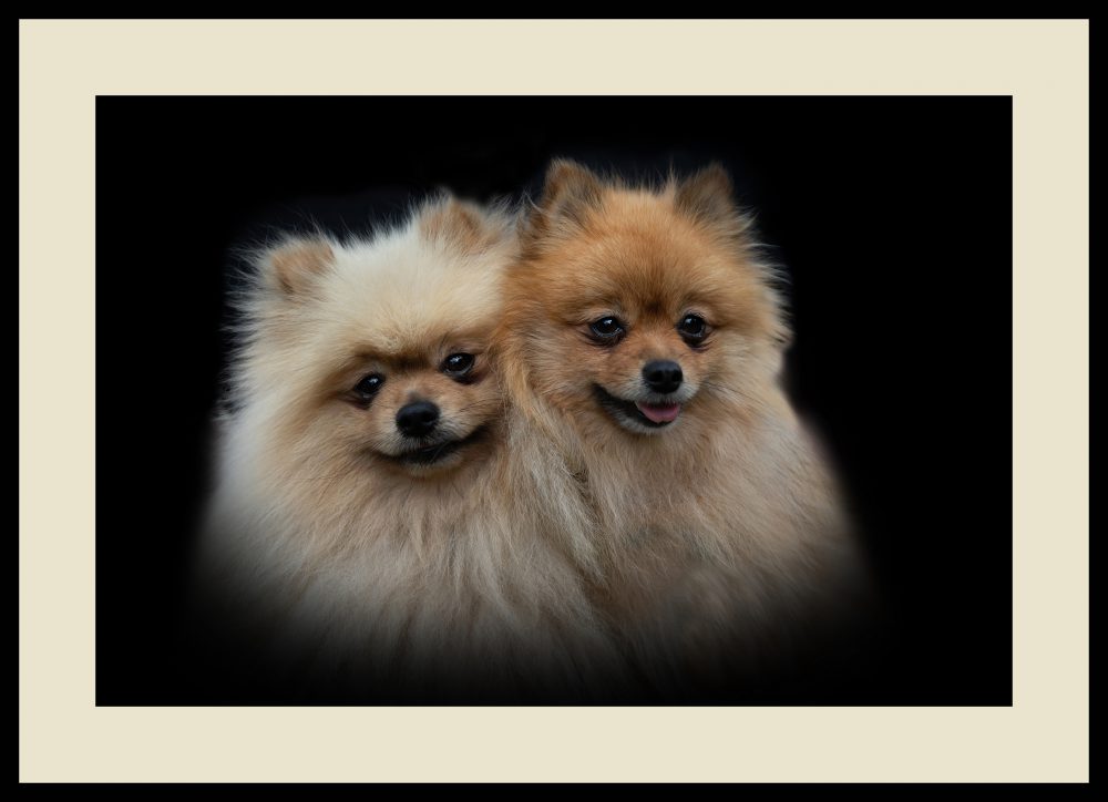 KISSING COUSINS
