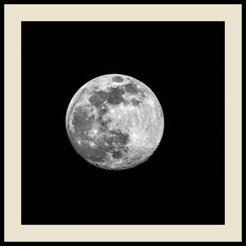 MOONLIGHT