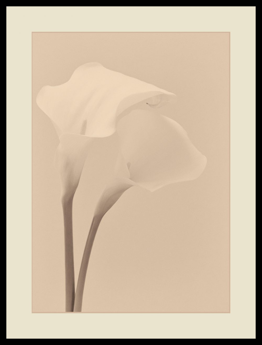 PAIR OF LILLIE'S