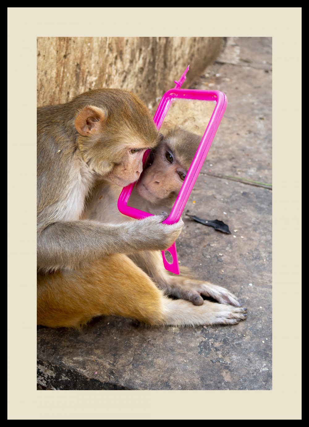 PRETTY MONKEY