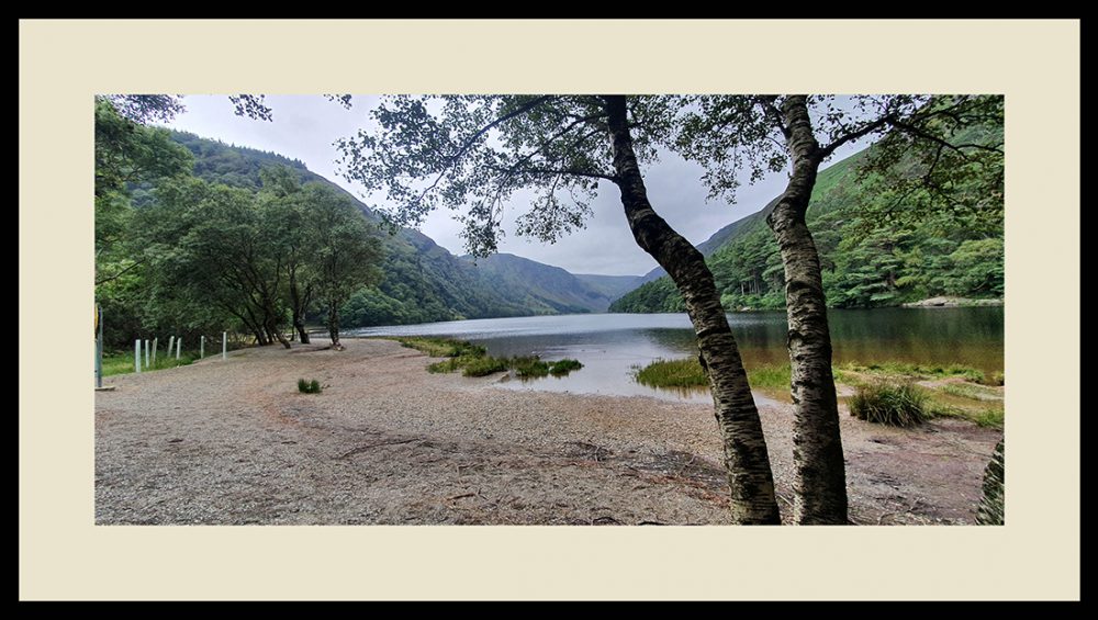 TREE LAKE
