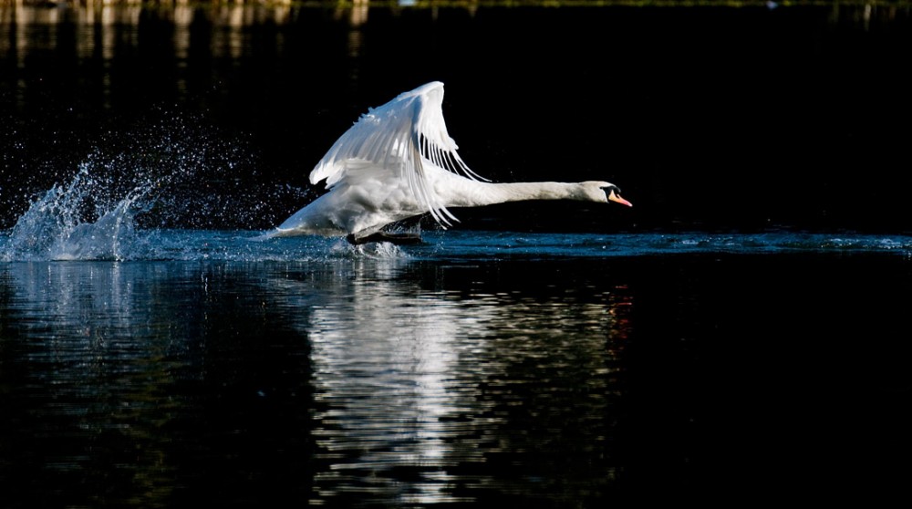 Lift off