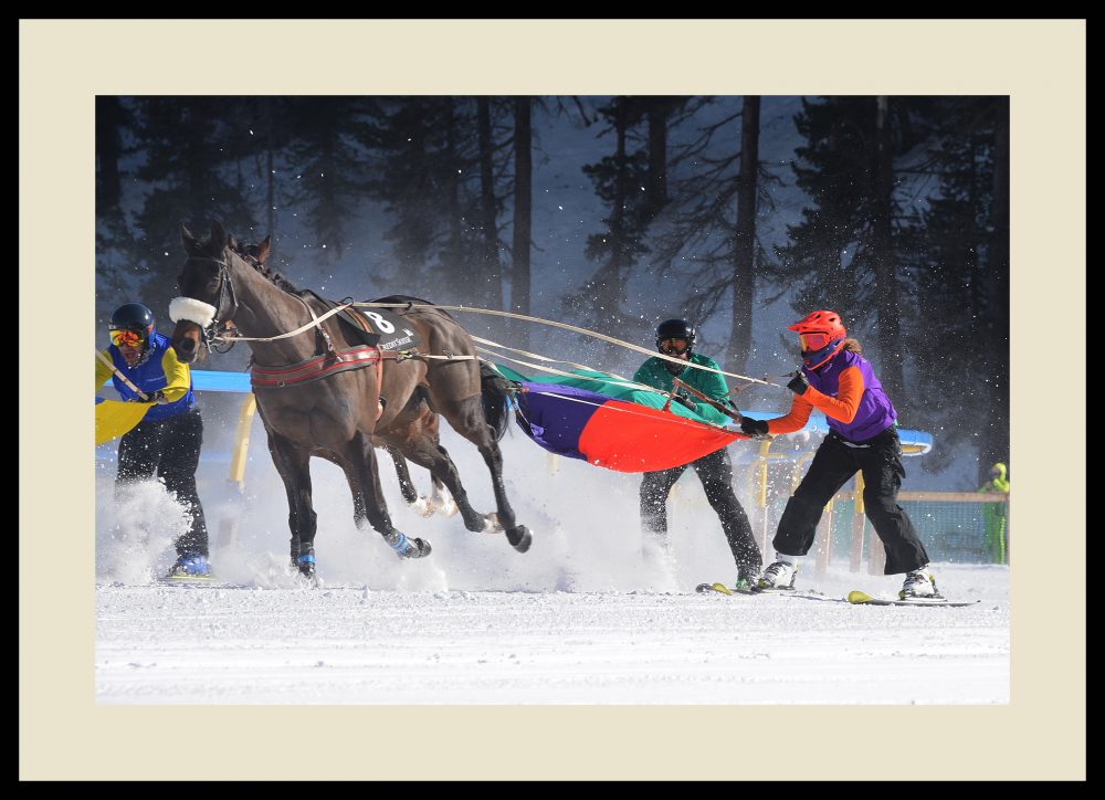 massimo ciarloni 03 - white turf2 lr